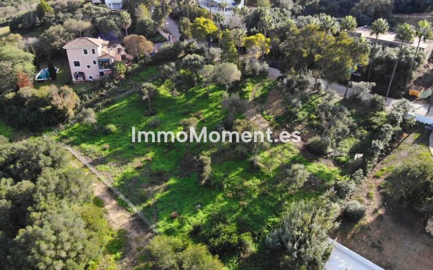 Reventa - Terreno - Sotogrande