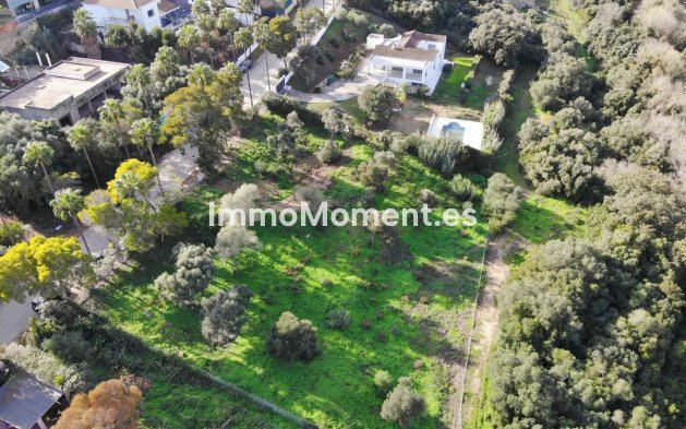 Reventa - Terreno - Sotogrande