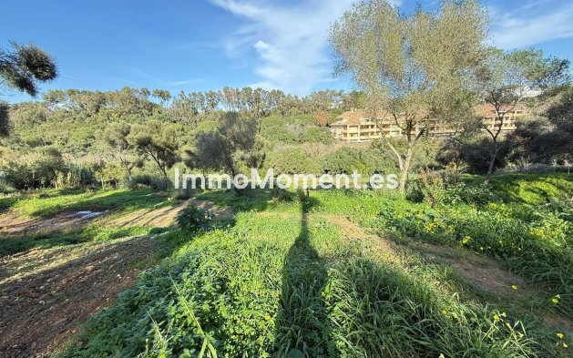 Reventa - Terreno - Sotogrande