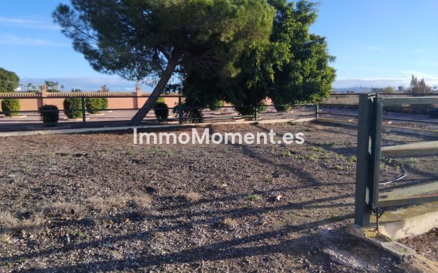 Wiederverkauf - Villa - Dolores - Dolores Centro