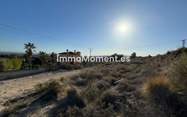 Revente - Terrain - Elche - Elche Centro