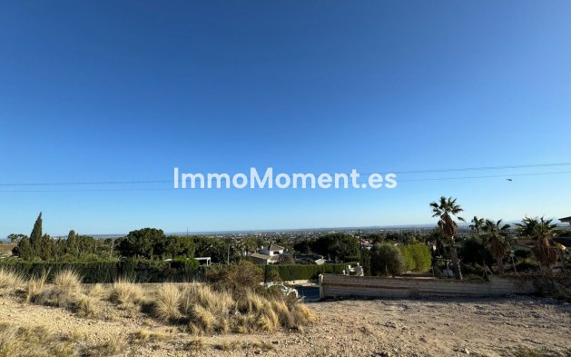 Revente - Terrain - Elche - Elche Centro