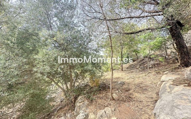 Wiederverkauf - Landhaus -   Inländisch - Monda