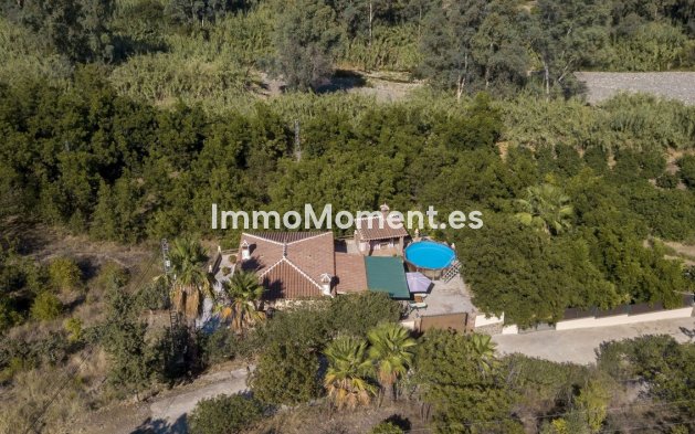 Revente - Maison de campagne - Intérieur                       - Coín