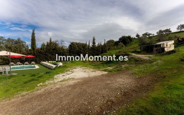 Reventa - Casa de campo - Interior  - Monda
