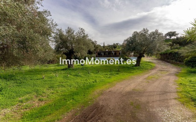 Reventa - Casa de campo - Interior  - Monda