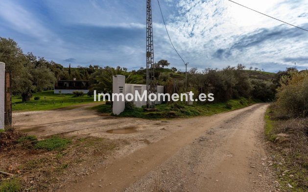 Reventa - Casa de campo - Interior  - Monda