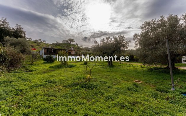 Reventa - Casa de campo - Interior  - Monda