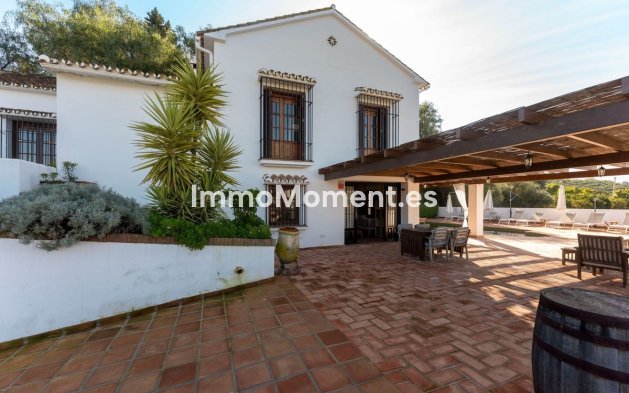 Revente - Maison de campagne - Intérieur                       - Alhaurín el Grande Centro