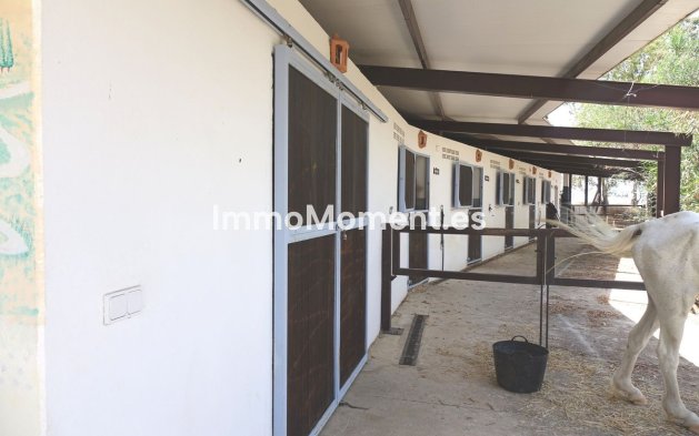 Revente - Villa - Mijas - Valtocado