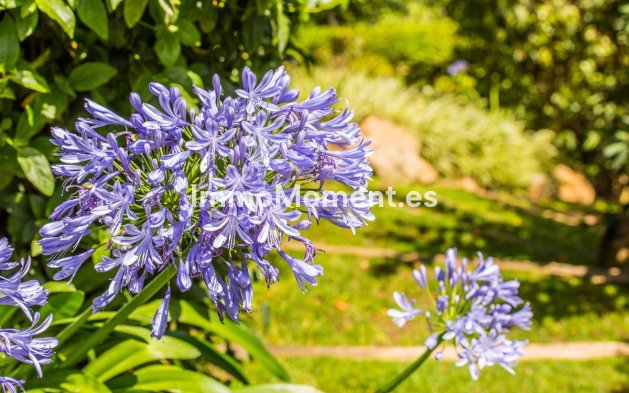 Revente - Villa - Benahavís - La Zagaleta