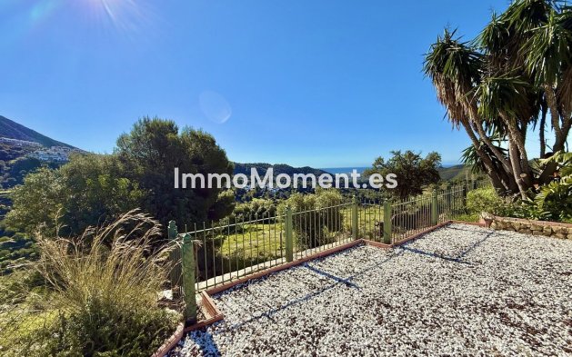 Revente - Villa - Intérieur                       - Istán