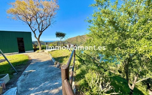 Revente - Villa - Intérieur                       - Istán