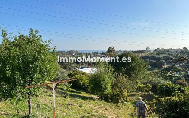Neubau - Landhaus - Estepona  - Estepona Centro