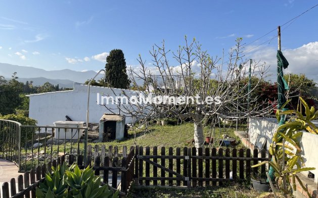 Neubau - Landhaus - Estepona  - Estepona Centro