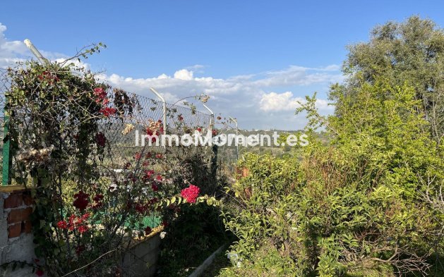 Neubau - Landhaus - Estepona  - Estepona Centro