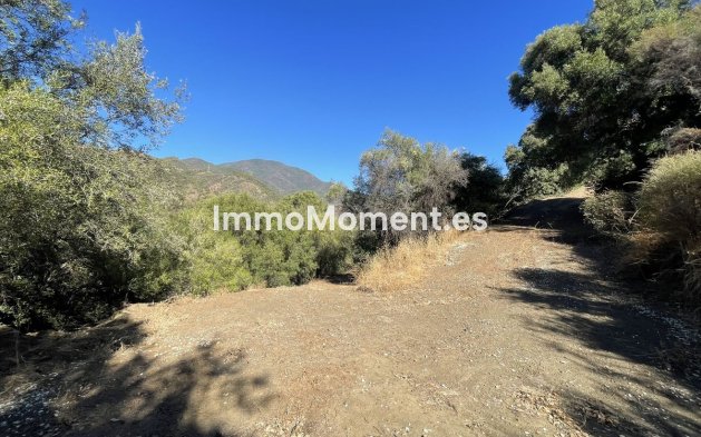 Wiederverkauf - Villa -   Inländisch - Istán