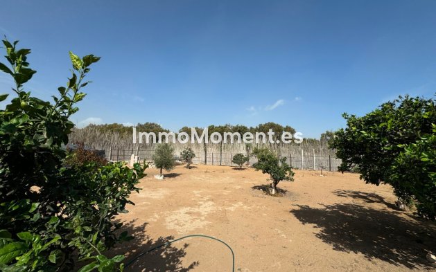 Resale - Villa - Guardamar del Segura - Guardamar del Segura Centro