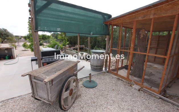 Bestaande woning - Landhuis - Crevillente - Crevillente - Crevillent Centro