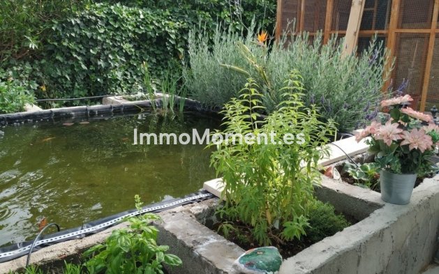 Bestaande woning - Landhuis - Crevillente - Crevillente - Crevillent Centro