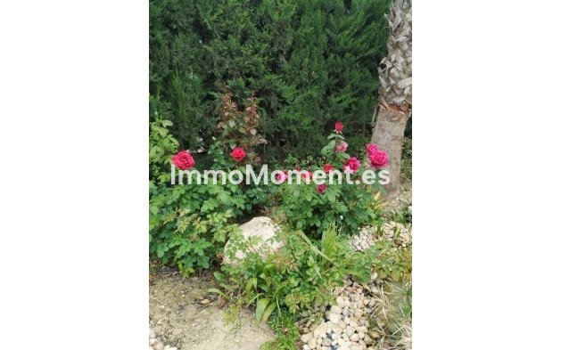 Bestaande woning - Landhuis - Crevillente - Crevillente - Crevillent Centro