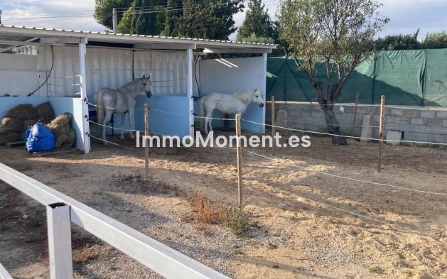 Bestaande woning - Landhuis - Crevillente - Crevillente - Crevillent Centro