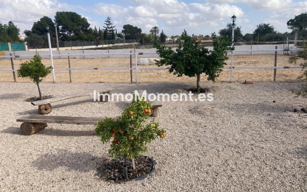 Bestaande woning - Landhuis - Crevillente - Crevillente - Crevillent Centro