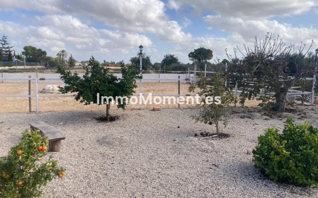 Bestaande woning - Landhuis - Crevillente - Crevillente - Crevillent Centro