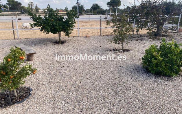 Bestaande woning - Landhuis - Crevillente - Crevillente - Crevillent Centro