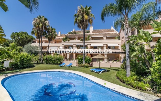 Resale - Apartment - Marbella - Nueva Andalucía