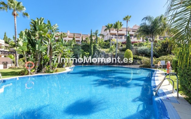 Revente - Appartement - Marbella - Nueva Andalucía