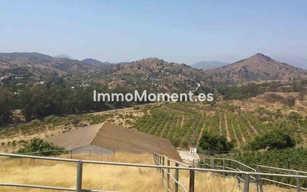 Reventa - Casa de campo - Interior  - Coín