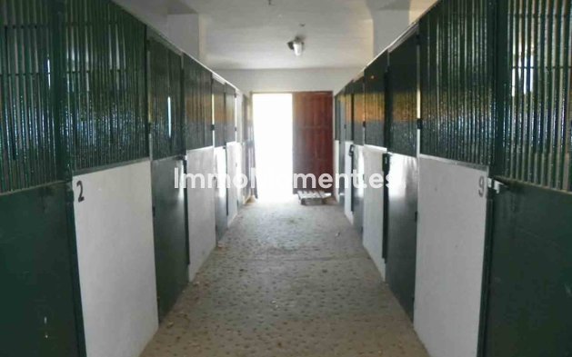 Reventa - Casa de campo - Interior  - Coín