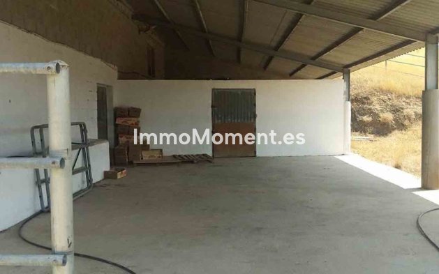 Reventa - Casa de campo - Interior  - Coín