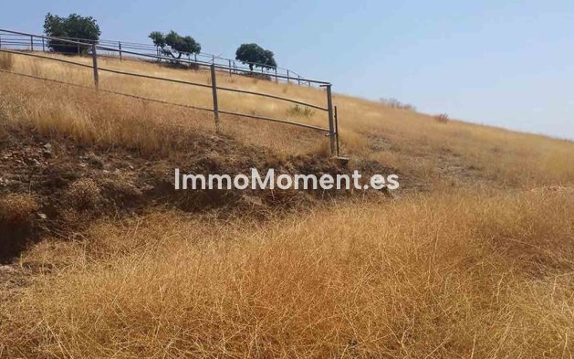 Reventa - Casa de campo - Interior  - Coín
