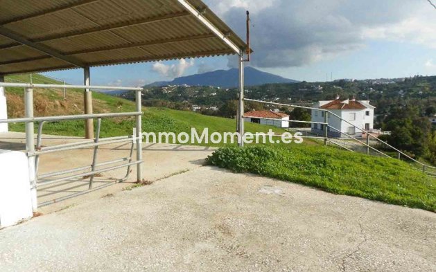 Reventa - Casa de campo - Interior  - Coín