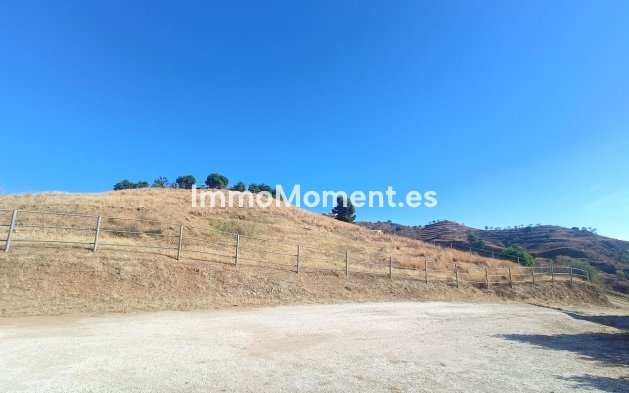 Reventa - Casa de campo - Interior  - Coín