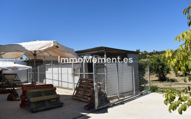 Revente - Maison de campagne - Intérieur                       - Alhaurín el Grande Centro