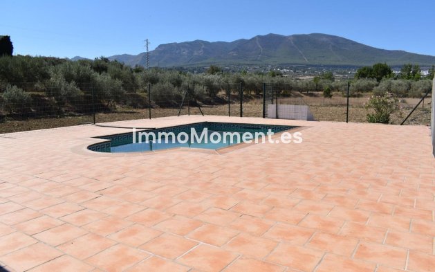 Revente - Maison de campagne - Intérieur                       - Alhaurín el Grande Centro