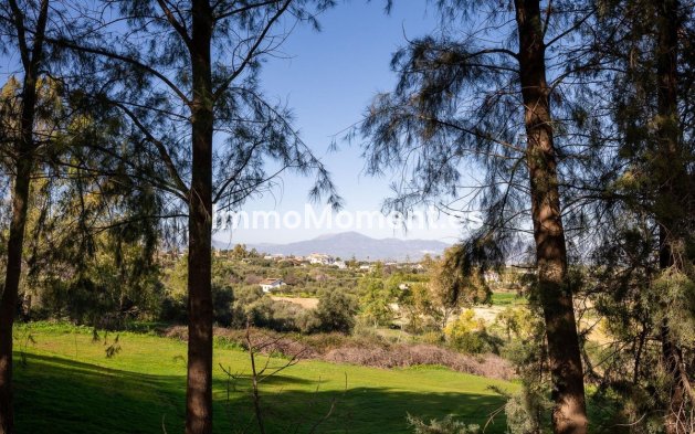 Revente - Maison mitoyenne - Intérieur                       - Alhaurín de la Torre