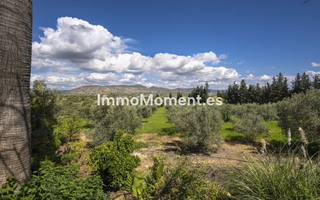 Revente - Maison de campagne - Intérieur                       - Alhaurín el Grande Centro