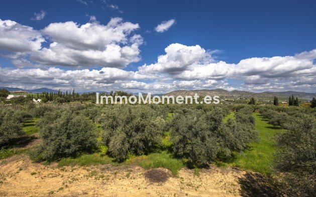 Revente - Maison de campagne - Intérieur                       - Alhaurín el Grande Centro