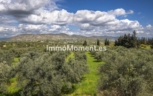 Revente - Maison de campagne - Intérieur                       - Alhaurín el Grande Centro