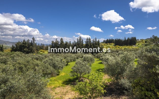 Revente - Maison de campagne - Intérieur                       - Alhaurín el Grande Centro