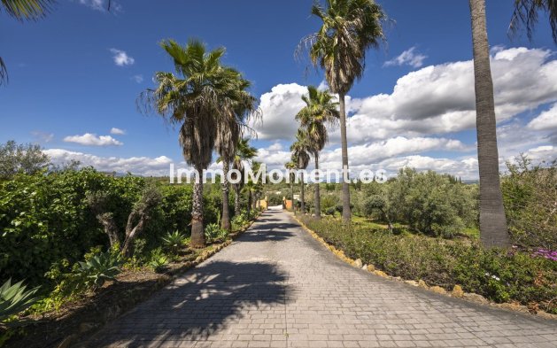 Revente - Maison de campagne - Intérieur                       - Alhaurín el Grande Centro