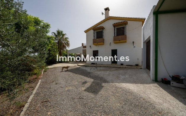 Revente - Villa - Intérieur                       - Cártama Centro