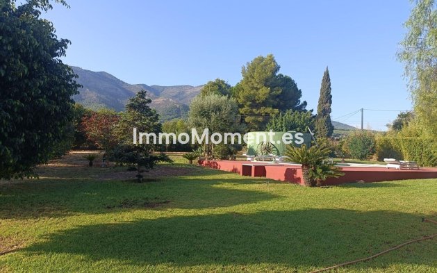 Revente - Maison de campagne - Intérieur                       - Alhaurín el Grande Centro