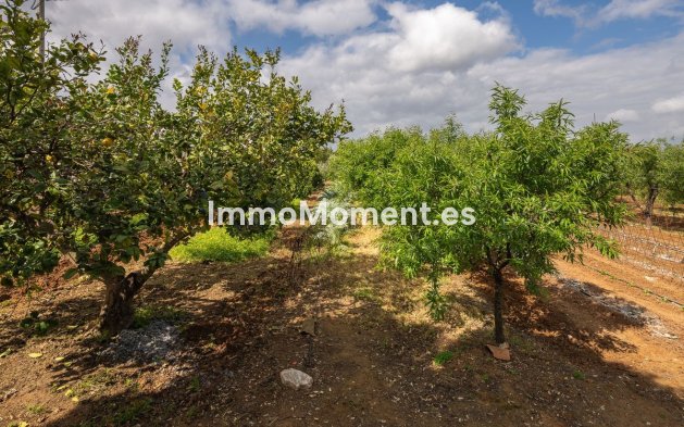 Revente - Maison de campagne - Intérieur                       - Alhaurín el Grande Centro