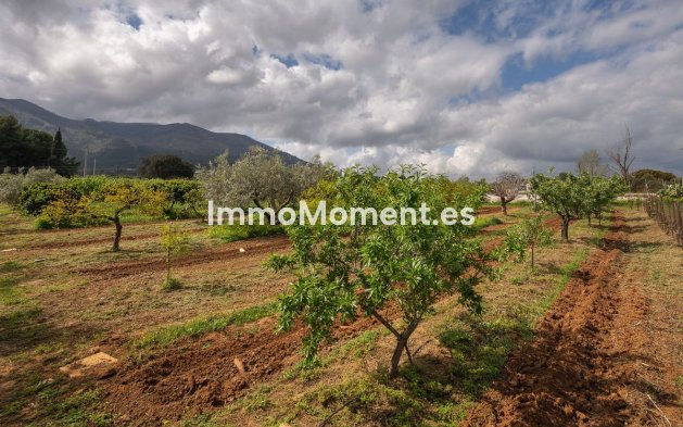 Revente - Maison de campagne - Intérieur                       - Alhaurín el Grande Centro
