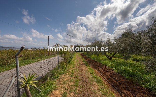 Revente - Maison de campagne - Intérieur                       - Alhaurín el Grande Centro